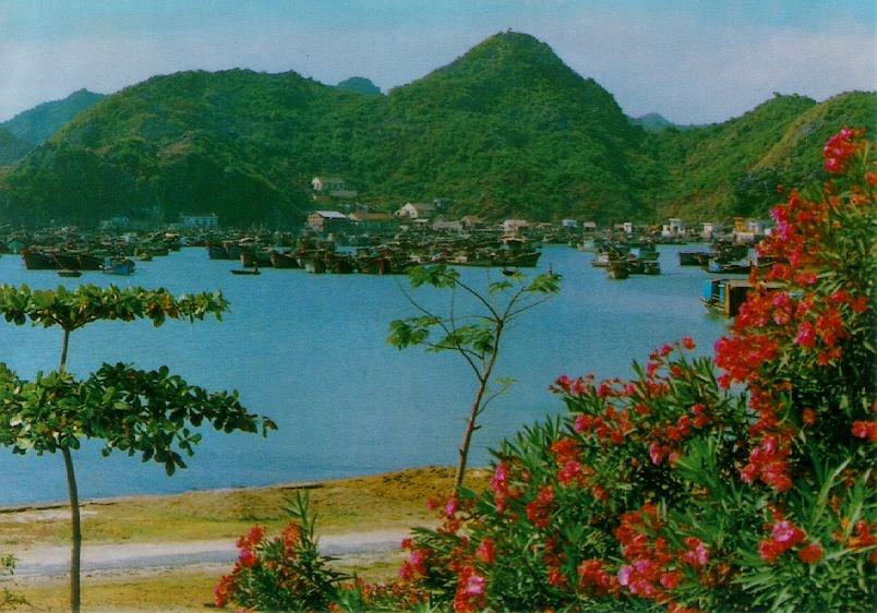 Travel to Vietnam and Explore Cat Ba Island Travel to Vietnam and Explore Cat Ba Island