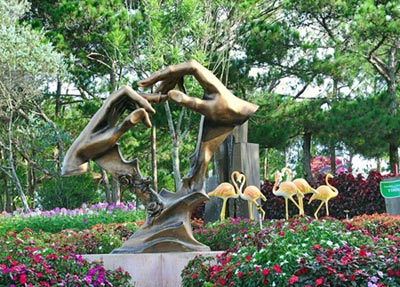 Cảnh rừng thông