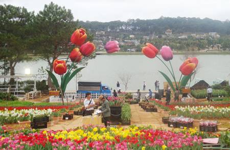 tour du lịch Đà Lạt