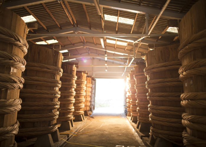 Nhà thùng nước mắm Phú Quốc trong tour Phú Quốc