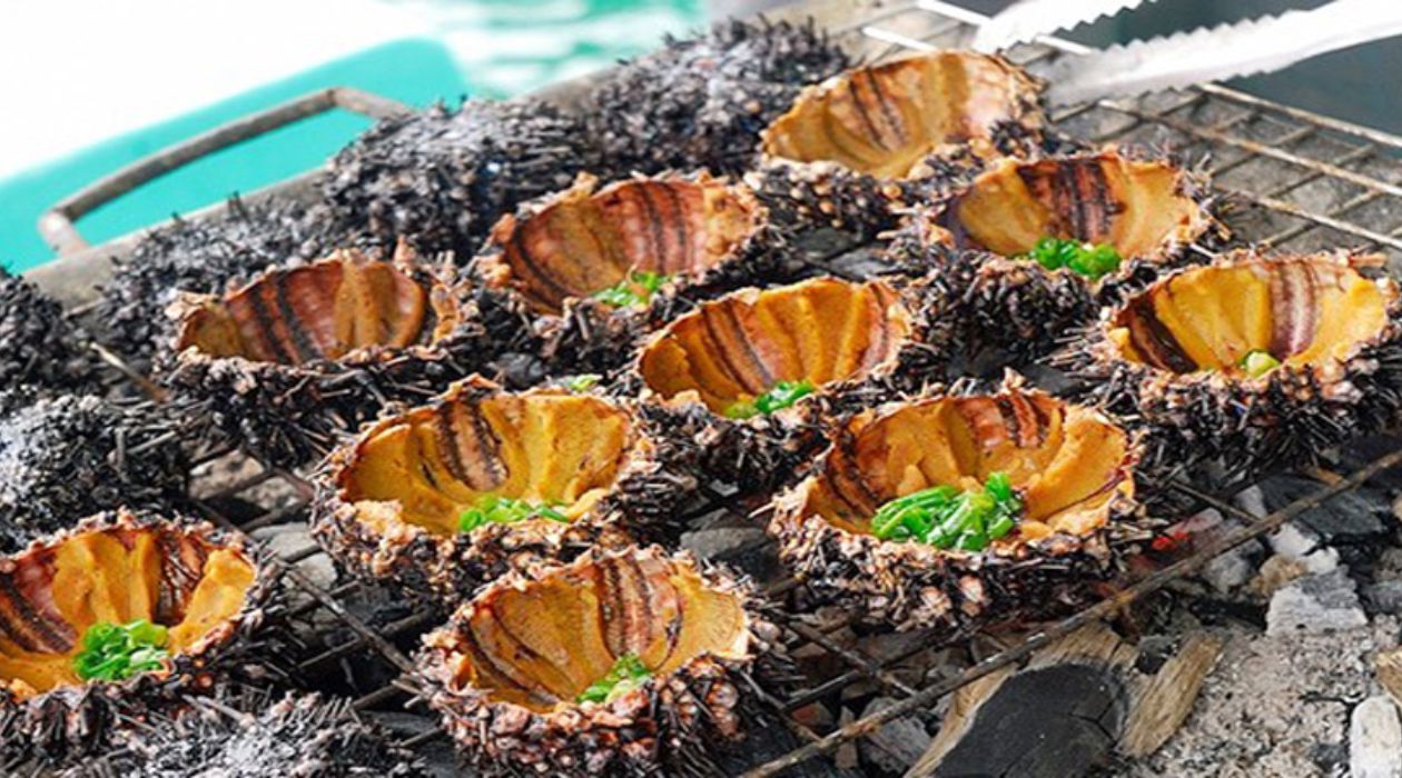 Món cầu gai Quan Lạn nổi bật với hương vị biển tươi ngon và thịt ngọt béo. Món cầu gai Quan Lạn nổi bật với hương vị biển tươi ngon và thịt ngọt béo.