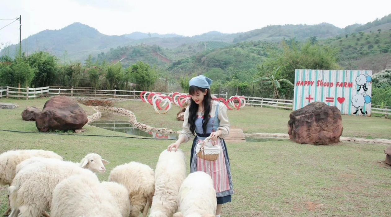 Happy Land Mộc Châu nổi bật với cảnh sắc rực rỡ và không gian vui tươi. Happy Land Mộc Châu nổi bật với cảnh sắc rực rỡ và không gian vui tươi.