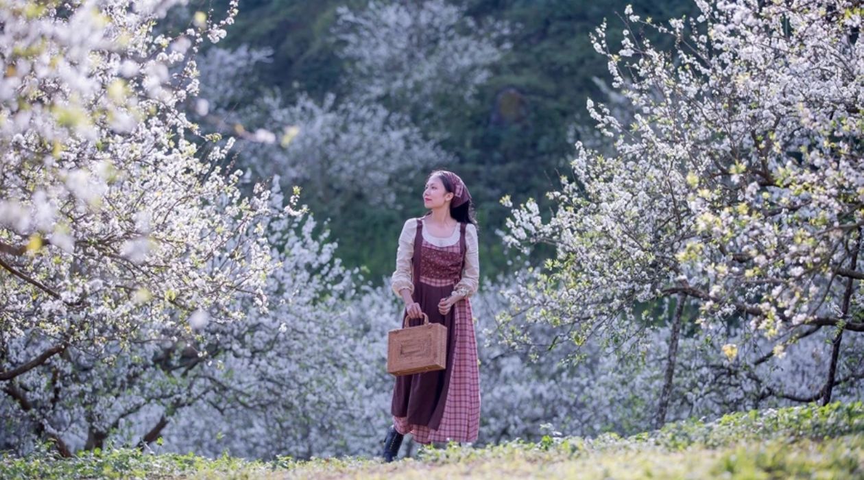 Thung lũng mận Nà Ka Mộc Châu nổi bật với sắc trắng hoa mận bạt ngàn. Thung lũng mận Nà Ka Mộc Châu nổi bật với sắc trắng hoa mận bạt ngàn.