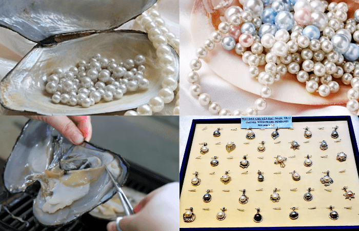 Tìm hiểu và mua sắm tại cơ sở nuôi cấy ngọc trai uy tín và chất lượng