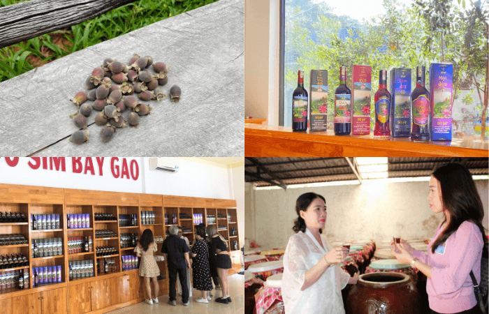 Thăm cơ sở rượu vang sim trong tour Phú Quốc 3 ngày 2 đêm