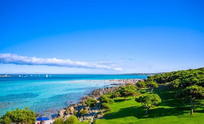 Vẻ đẹp tràn đầy sức sống của bãi biển La Pelosa