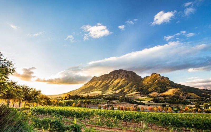 Đến Nam Phi du ngoạn đừng quên check in thị trấn Stellenbosch xưa cổ