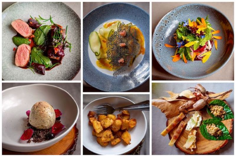 Trải nghiệm món Bush Tucker với cách chế biến đa dạng ở Úc