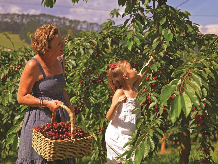 Bacchus Marsh Bacchus Marsh