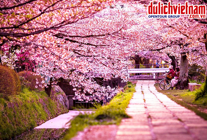 Con đường Yunjunro trong công viên Yeouido Con đường Yunjunro trong công viên Yeouido