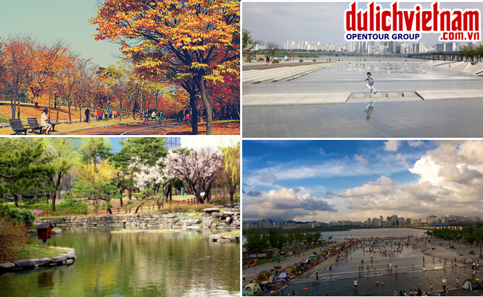 Công viên Yeouido Công viên Yeouido