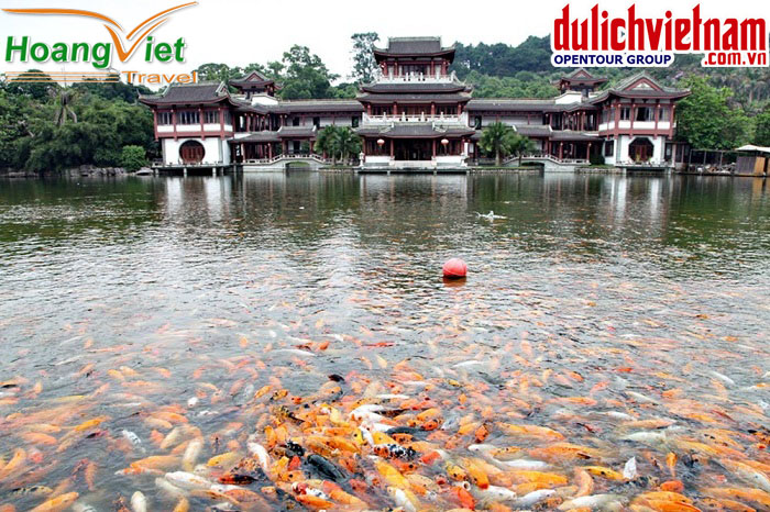 Hồ Thiên Trị Hồ Thiên Trị