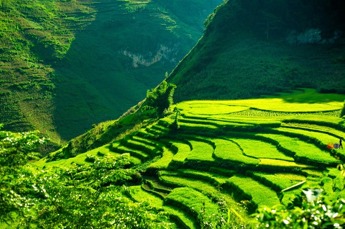 du lịch hà giang Du-lịch-hà-giang