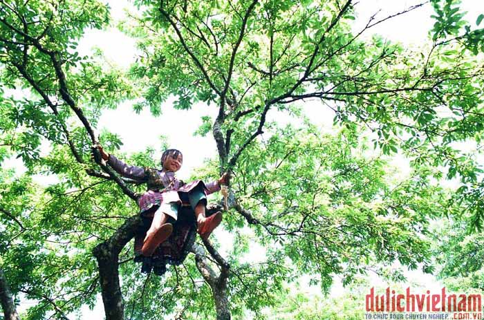 Du khách vui chơi Mộc Châu Du khách vui chơi Mộc Châu