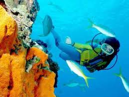 lặn biển nha trang