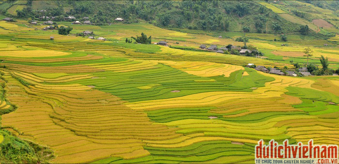 Thung lũng Lìm Mông Thung lũng Lìm Mông