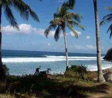 Du lịch biển Đồng Châu: Hà Nội - Biển Đồng Châu (Thái Bình) - Làng Vườn Bách Thuận - Khu di tích Đền Trần