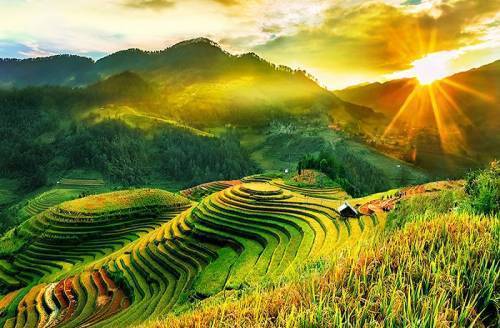 Du Lịch Yên Bái: Hà Nội - Nghĩa Lộ - Mù Cang Chải - Bay Trên Mùa Vàng 3 Ngày + Ô tô