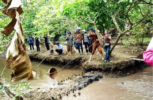 Tour Miền Nam 4N3Đ: Từ Hà Nội - Sài Gòn - Củ Chi - Tây Ninh - Mỹ Tho - Bến Tre, Bay VN