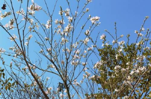 Du Lịch Điện Biên: Hà Nội - Sơn La - Điện Biên - Mộc Châu 3 Ngày