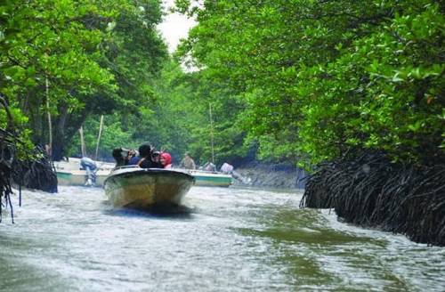 Du Lịch Miền Nam : Sài Gòn - Cần Giờ - Rừng Sác 1 Ngày