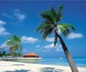 Du lịch biển Bãi Lữ : Hà Nội - Bãi Lữ Resort 4 ngày