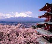 Du lịch Nhật Bản: Hà Nội - Tokyo - Núi Phú Sỹ - Kyoto - Cố Đô Nara - Osaka - Hà Nội 7 Ngày