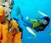 Du lịch Nha Trang Từ Sài Gòn 3 Ngày