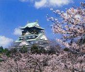 Du lịch Nhật Bản 4 Ngày: TP.Hồ Chí Minh - Tokyo - Núi Phú Sĩ - Hakone - Disneyland - TP Hồ Chí Minh