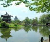 Du lịch Nhật Bản: Dosaka - Kyoto - Núi Phú Sĩ - Tokyo 5 Ngày