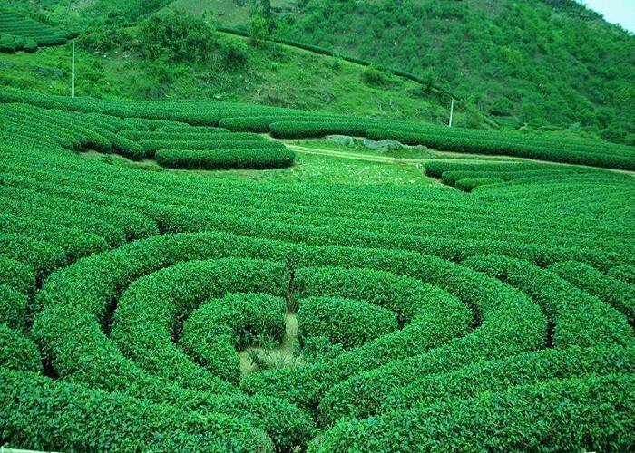 Tour Miền Bắc 4N3Đ: Từ Đà Nẵng - Sơn La - Điện Biên - Mộc Châu - Cầu Kính Bạch Long, Bay VN