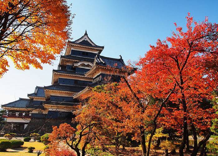 THUỶ CUNG MÙA HÈ |5N4Đ: Từ HCM - Yamanashi - Tokyo - Disneyland - Thuỷ Cung Seaworld - Morther Farm |Hãng Hàng Không ViệtNam