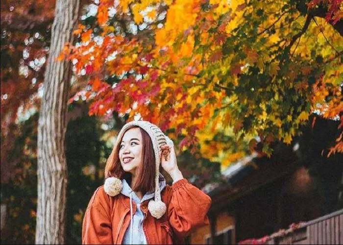 Du Lịch Hàn Quốc 4N3Đ: Từ HCM - Seoul - Nami - Lotte World - Namsan, Bay VN + KS 3-4*