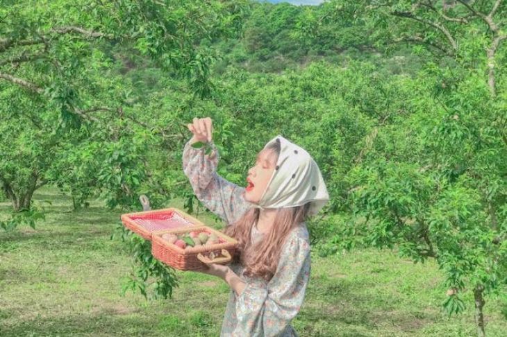 Du Lịch Mộc Châu: Hà Nội - Mộc Châu Cầu Kính Bạch Long 2 Ngày 1 Đêm