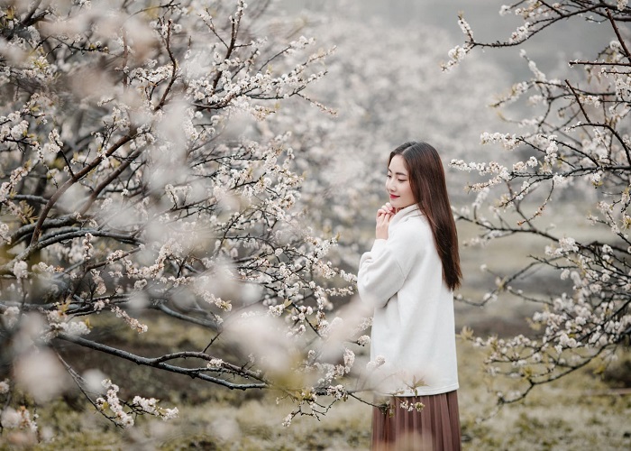 Du Lịch Mộc Châu: Hà Nội - Đà Nẵng - Khám Phá Cao Nguyên Mộc Châu 2 Ngày