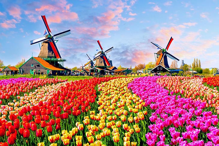 Du Lịch Châu Âu: Hà Nội - Đức - Thụy Sĩ - Luxembourg - Hà Lan - Bỉ - Pháp 10 Ngày Bay Vietnam Airlines