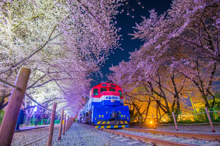 Du Lịch Hàn Quốc: Hà Nội - Busan - Gyeongju - Seoul - Đảo Nami - Tàu Điện - Ngắm Hoa Anh Đào 6 Ngày Bay Vietnam Airlines