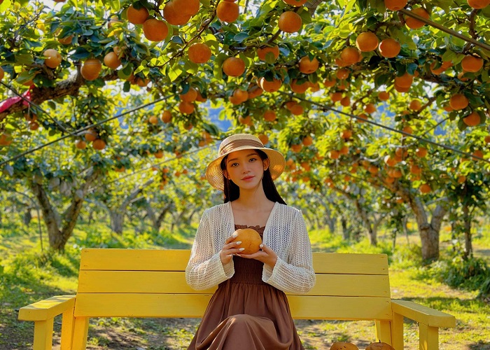 Tour Hàn Quốc 5N4Đ: Từ HCM - Seoul - Nami - Everland - Bukchon Hanbok - Hái Trái Cây, Bay Vietnam Airlines/ Vietjet Air + KS 4*