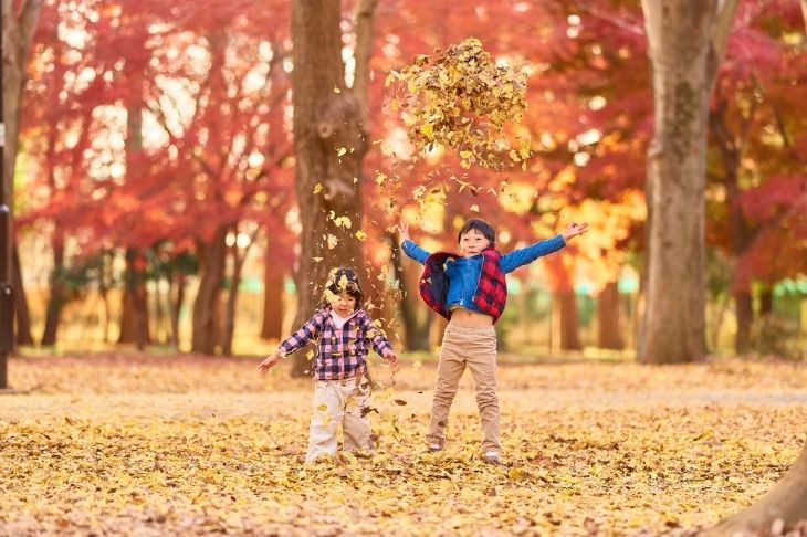 Du Lịch Nhật Bản Mùa Lá Đỏ: Hà Nội - Nagoya - Nara - Osaka - Kyoto - Núi Phú Sĩ - Tokyo 6 Ngày Bay Vietnam Airlines