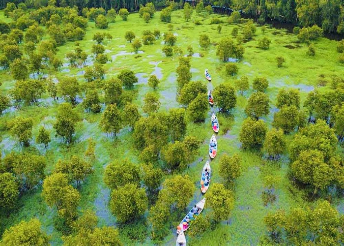 Tour Miền Tây 4N3Đ: Từ Đà Nẵng - SB HCM - Mỹ Tho - Châu Đốc - Rừng Tràm Trà Sư - Cà Mau - Đất Mũi - Cần Thơ, Bay Vietnam Airlines/ Vietjet Air + KS 3*