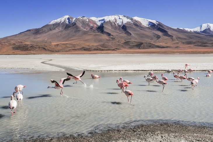 Du Lịch Nam Mỹ: Bolivia - Peru - Chile 17 Ngày Bay Turkish Airlines