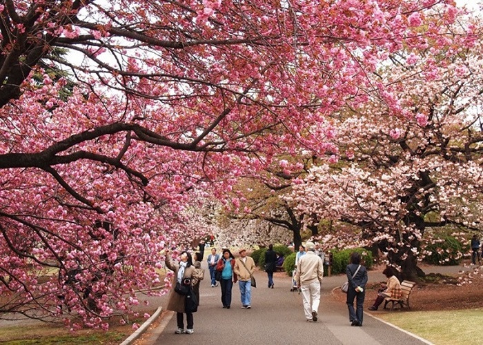 Tour Hàn Quốc 5N4Đ: Từ HCM - Seoul - Nami - Everland - Painter Show, Bay Vietjet Air + KS 4-5*