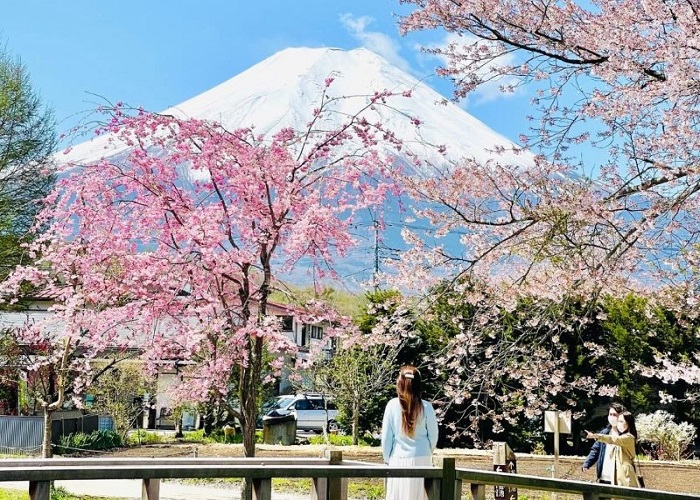 Tour Nhật Bản hoa anh đào 6N5Đ: Từ HCM - Tokyo - Yamanashi - Nagoya - Kyoto - Osaka, Bay Vietjet Air