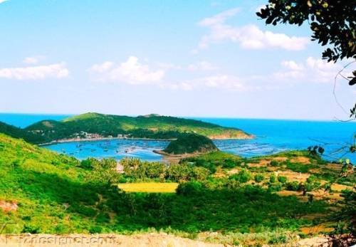 Tour Miền Trung 5N4Đ: Từ Hà Nội - Quảng Bình - Quảng Trị - Huế - Đà Nẵng, Bay VN + KS 4* ( Mùng 2 Tết)