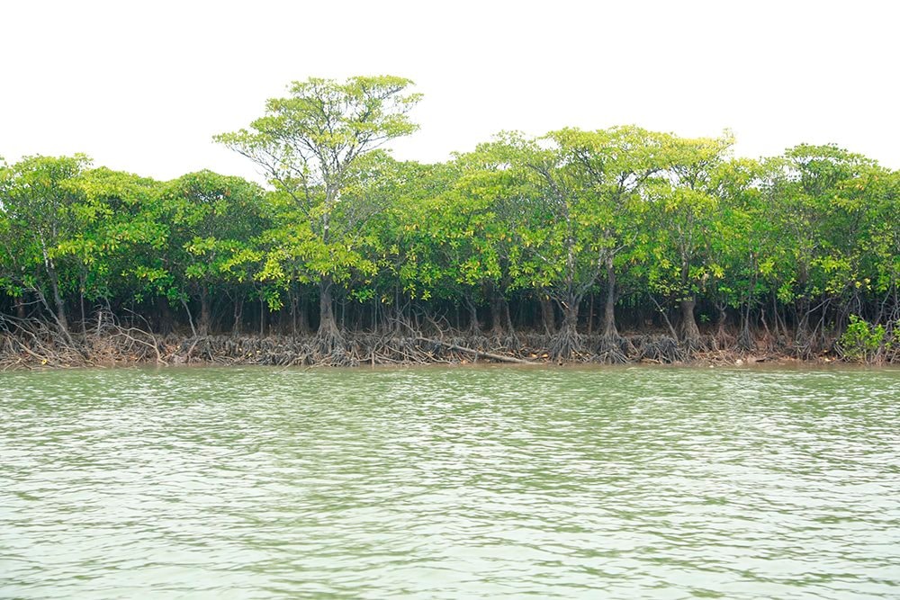 Khu bảo tồn thiên nhiên Tuần Châu - Nơi hòa mình vào thiên nhiên hoang sơ Khu bảo tồn thiên nhiên Tuần Châu - Nơi hòa mình vào thiên nhiên hoang sơ
