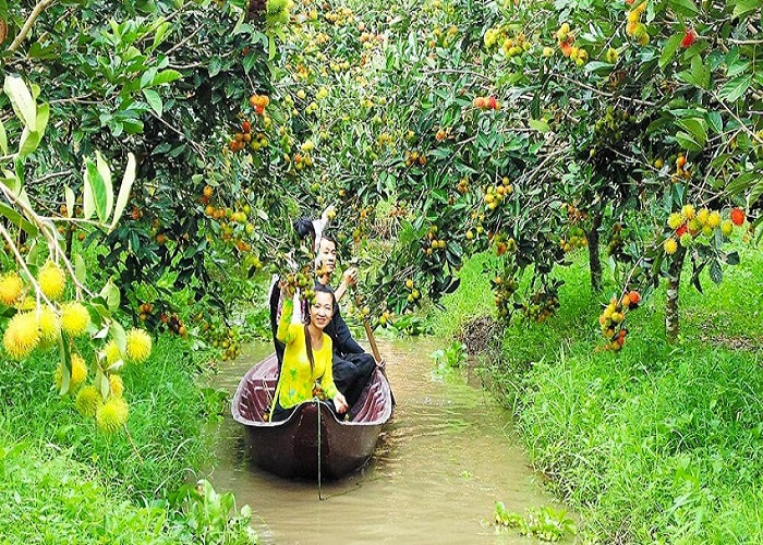 Cồn Sơn - Đạo Dừa Cồn Sơn - Đạo Dừa