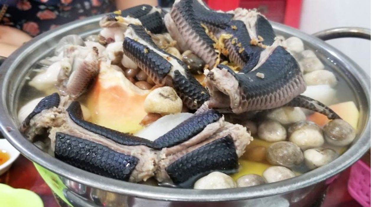 Món rắn biển Cát Bà nổi bật với hương vị độc đáo và giá trị dinh dưỡng cao. Món rắn biển Cát Bà nổi bật với hương vị độc đáo và giá trị dinh dưỡng cao.