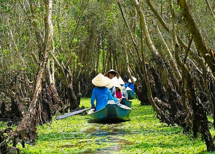 Rừng Tràm Trà Sư Rừng Tràm Trà Sư